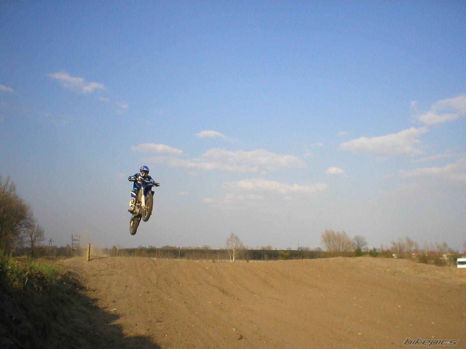 2003 YAMAHA YZ 250F | Picture 136559 motorcycle photo