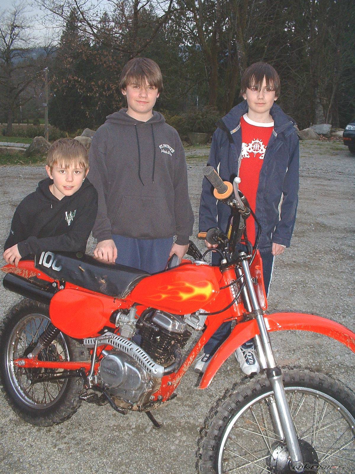 1982 HONDA XR 100 | Picture 136598 motorcycle photo