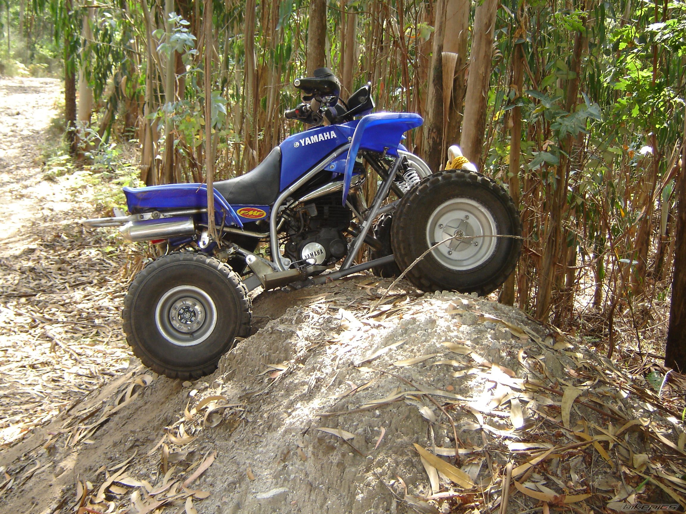 1999 YAMAHA BLASTER | Picture 1366729 motorcycle photo