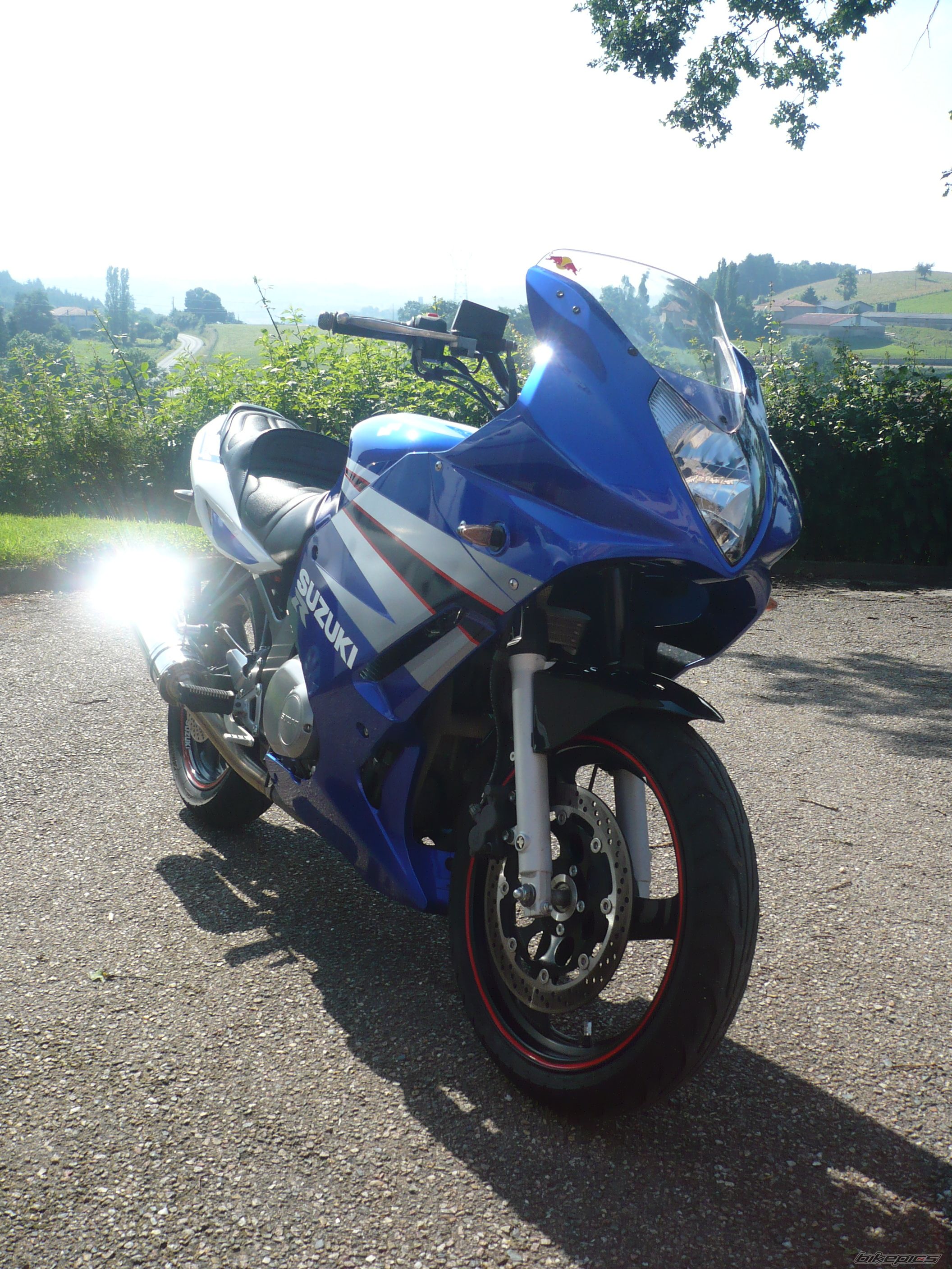 2005 SUZUKI GS 500 | Picture 1366846 motorcycle photo