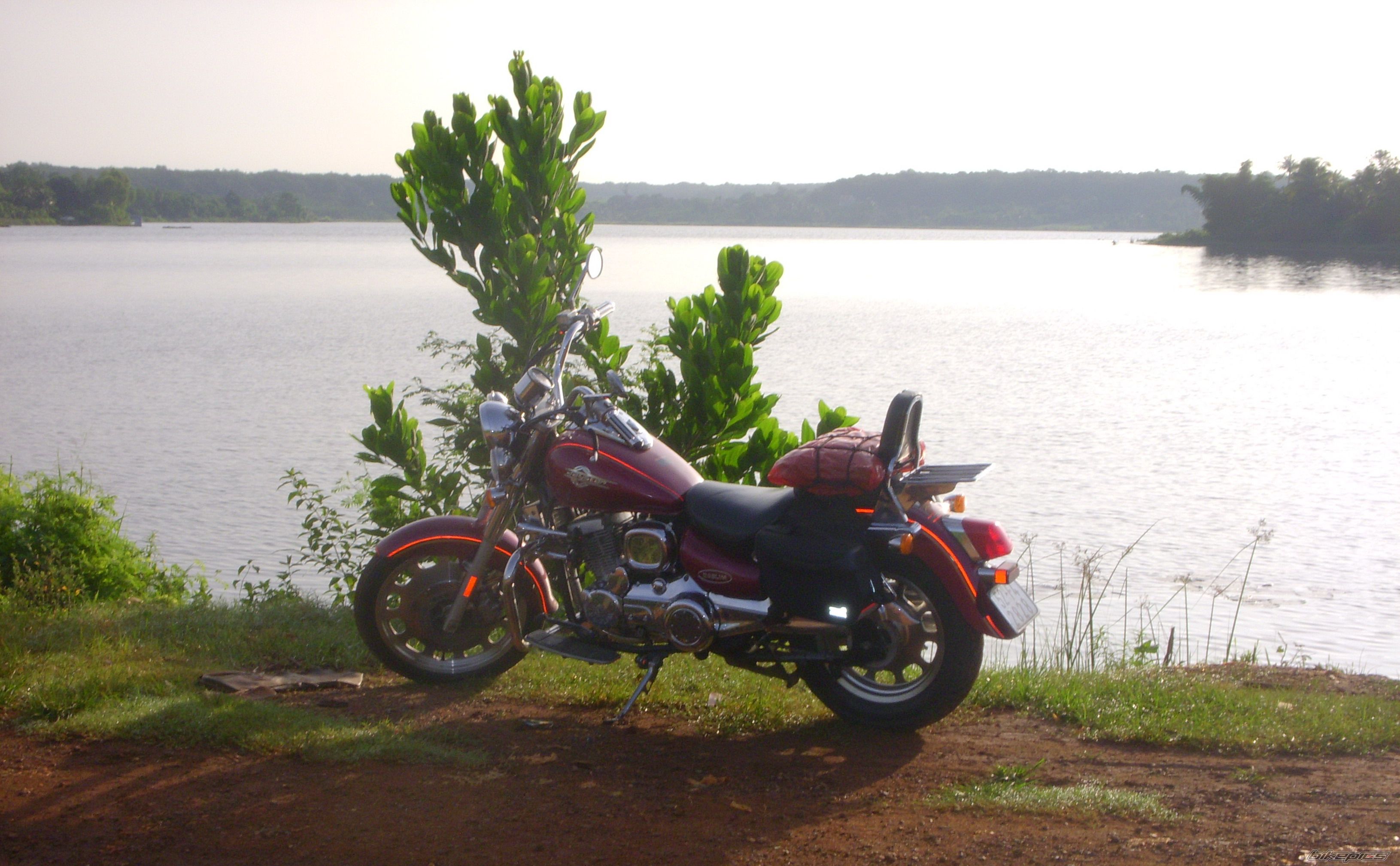 2004 DAELIM VL DAYSTAR | Picture 1367135 motorcycle photo