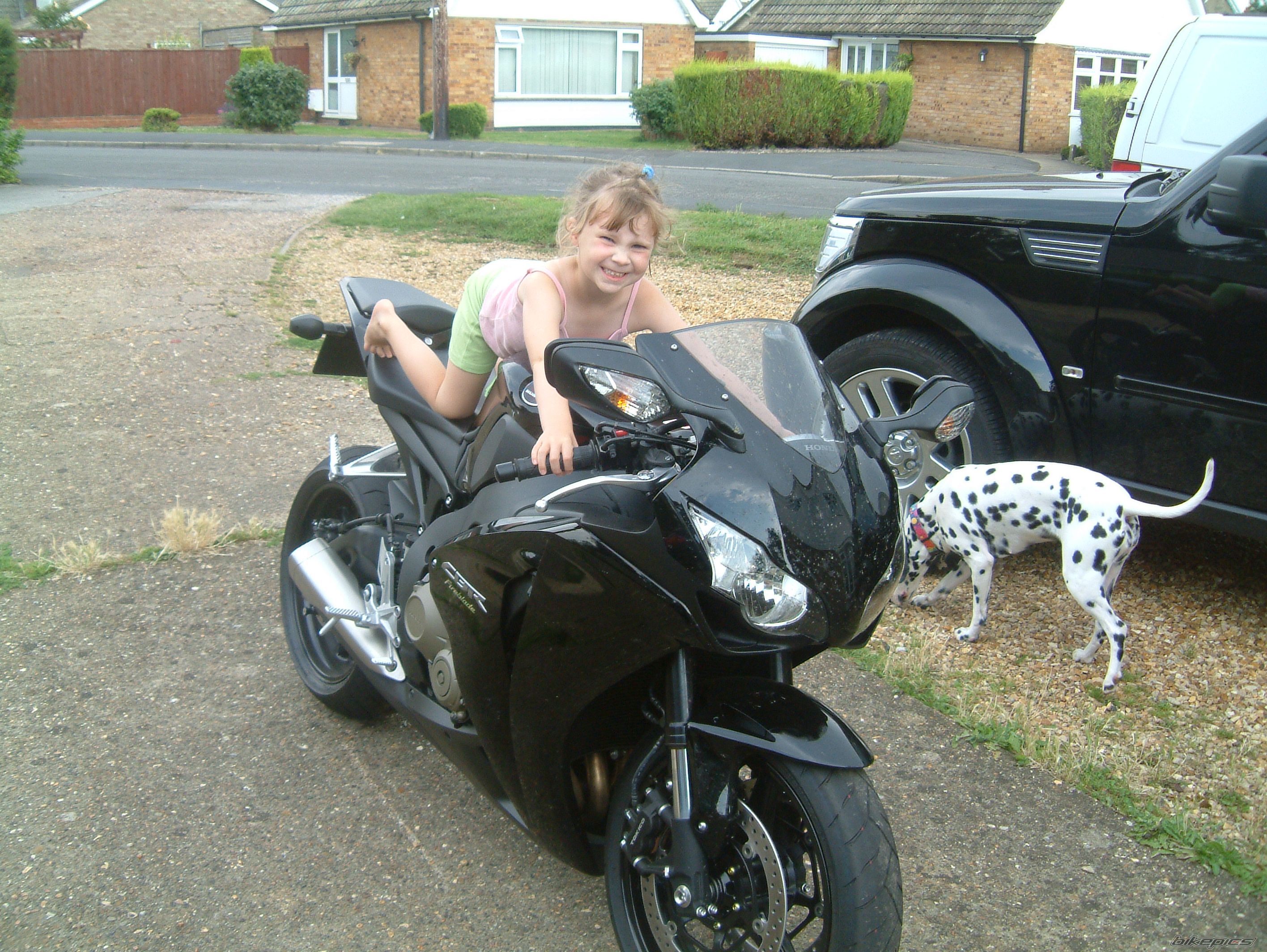 2008 HONDA CBR 1000  RR | Picture 1368056 motorcycle photo