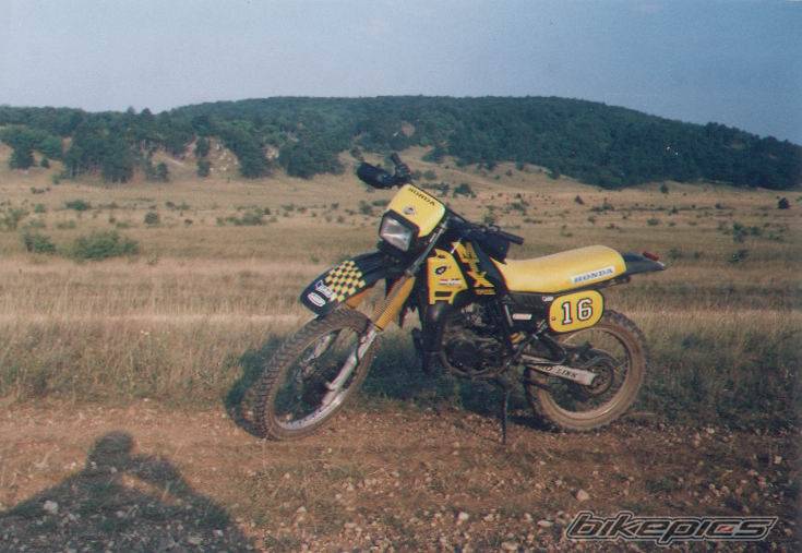 1993 HONDA MTX 80 | Picture 136810 motorcycle photo