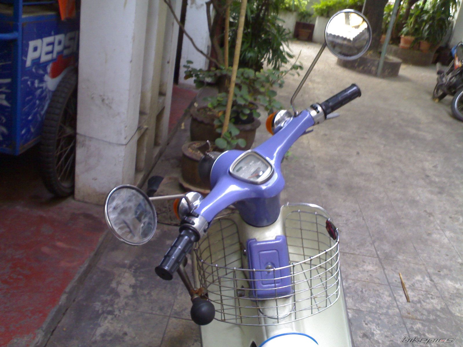 2008 HONDA C 70 | Picture 1368331 motorcycle photo