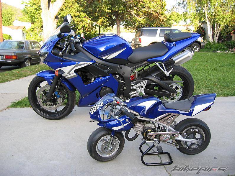2004 YAMAHA YZF R6 | Picture 136990 motorcycle photo