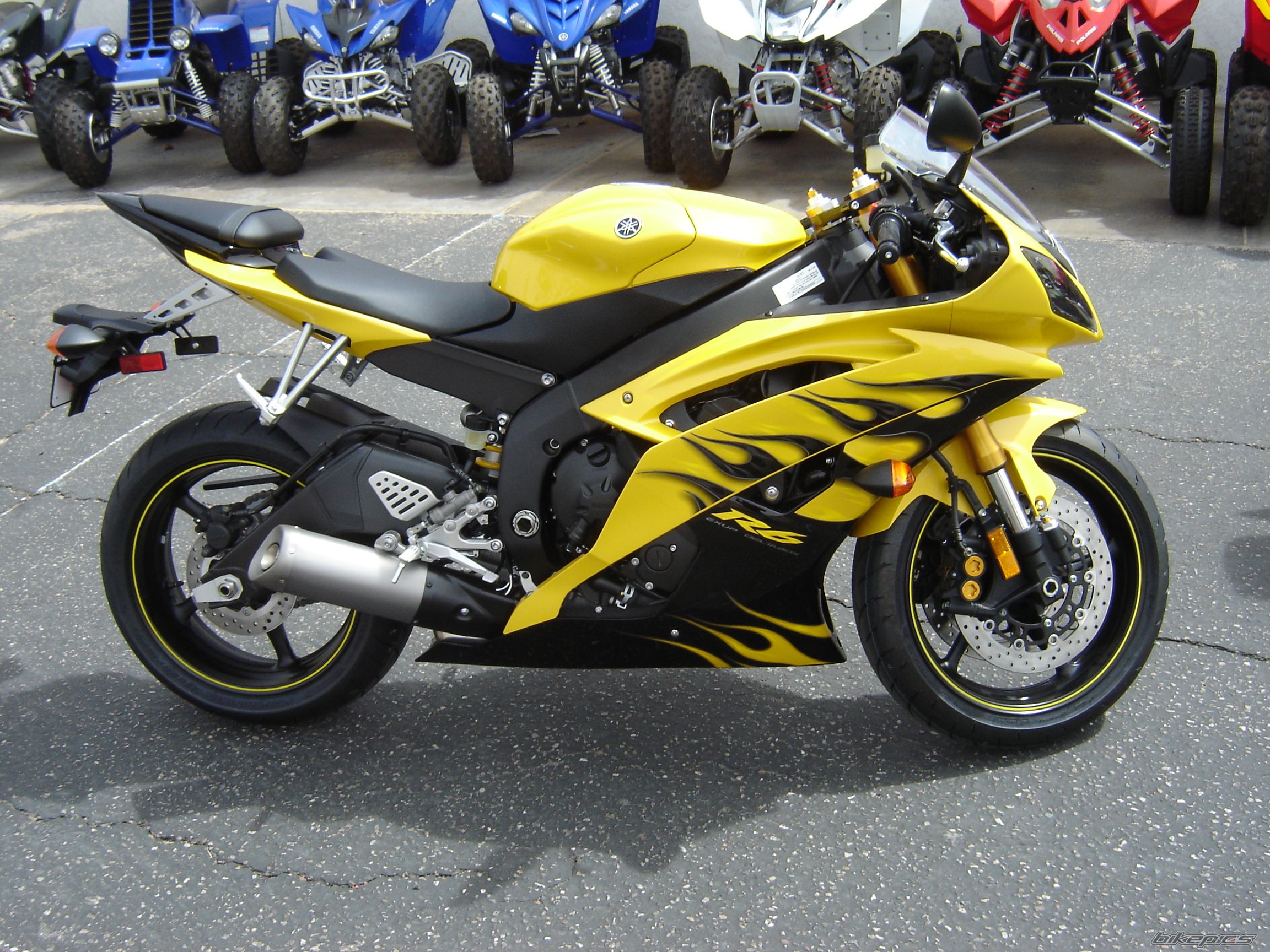 2008 YAMAHA YZF R6 | Picture 1369912 motorcycle photo