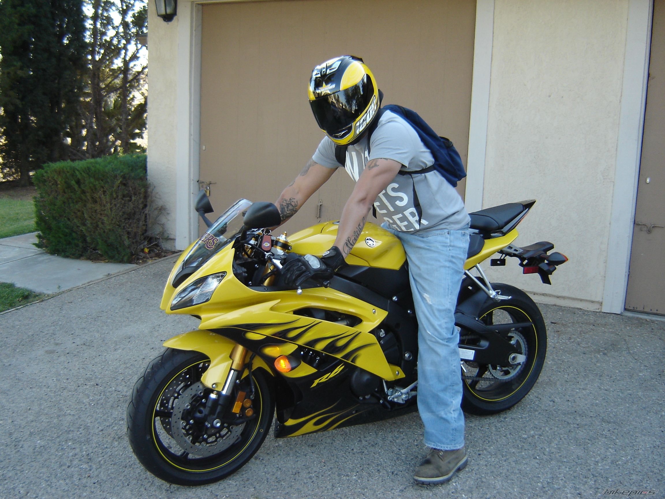 2008 YAMAHA YZF R6 | Picture 1369920 motorcycle photo