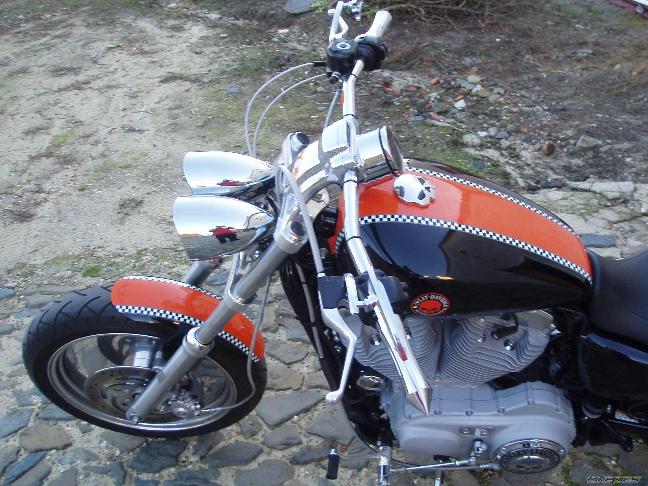 2007 HARLEY DAVIDSON XL 883 CUSTOM | Picture 1369991 motorcycle photo