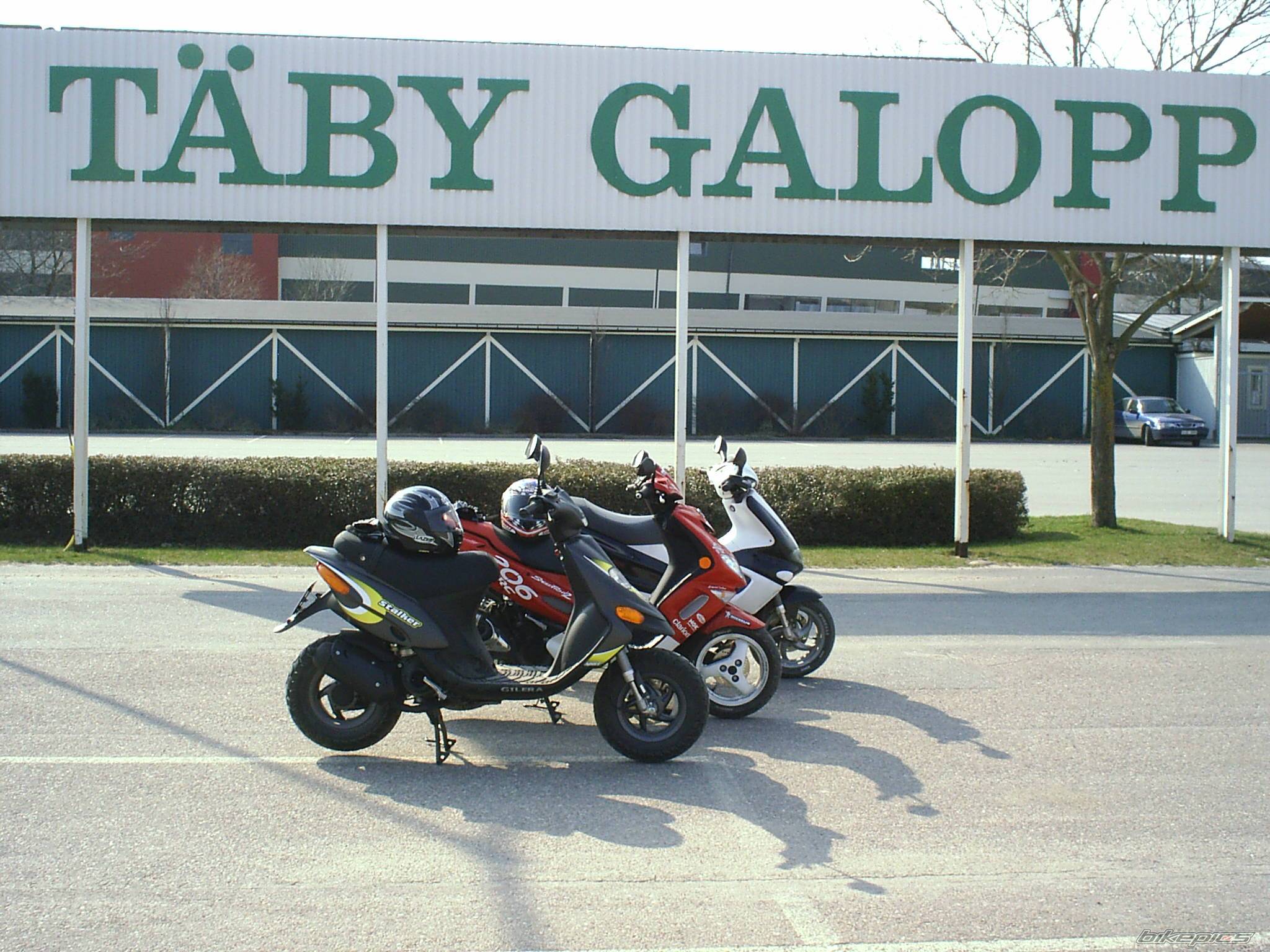2004 GILERA STALKER 50 | Picture 137005 motorcycle photo