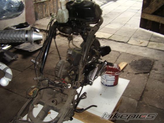 2004 DAELIM TAPO 50 | Picture 1370458 motorcycle photo