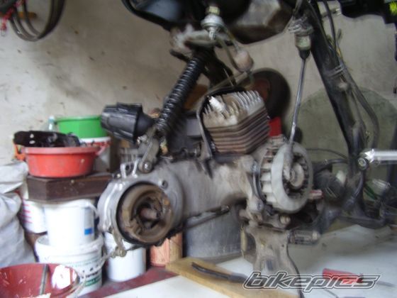 2004 DAELIM TAPO 50 | Picture 1370469 motorcycle photo