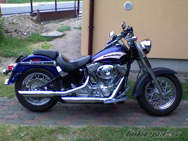    | Picture 1370865 motorcycle photo