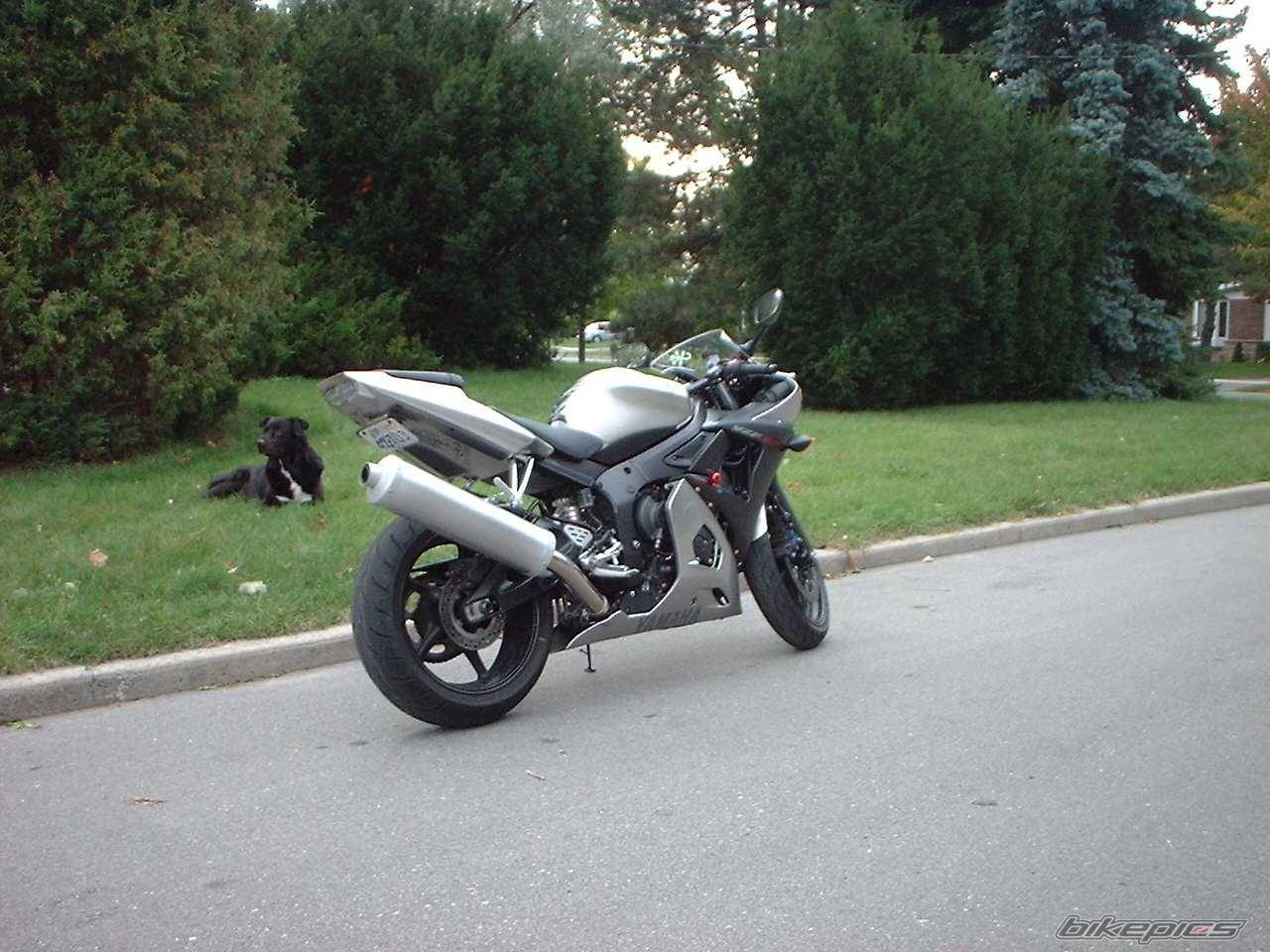 2003 YAMAHA YZF R6 | Picture 137136 motorcycle photo