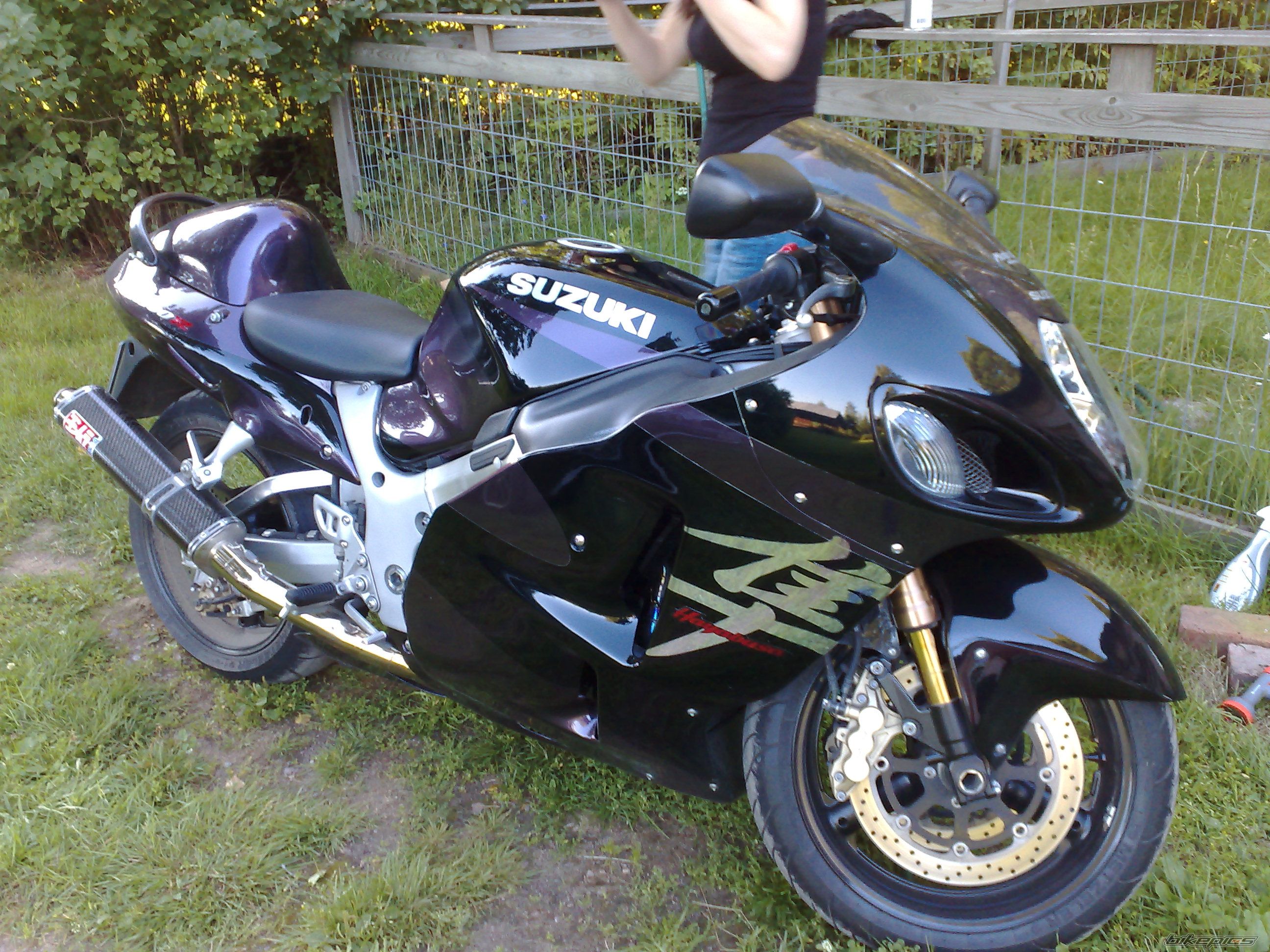 2005 SUZUKI HAYABUSA | Picture 1371431 motorcycle photo