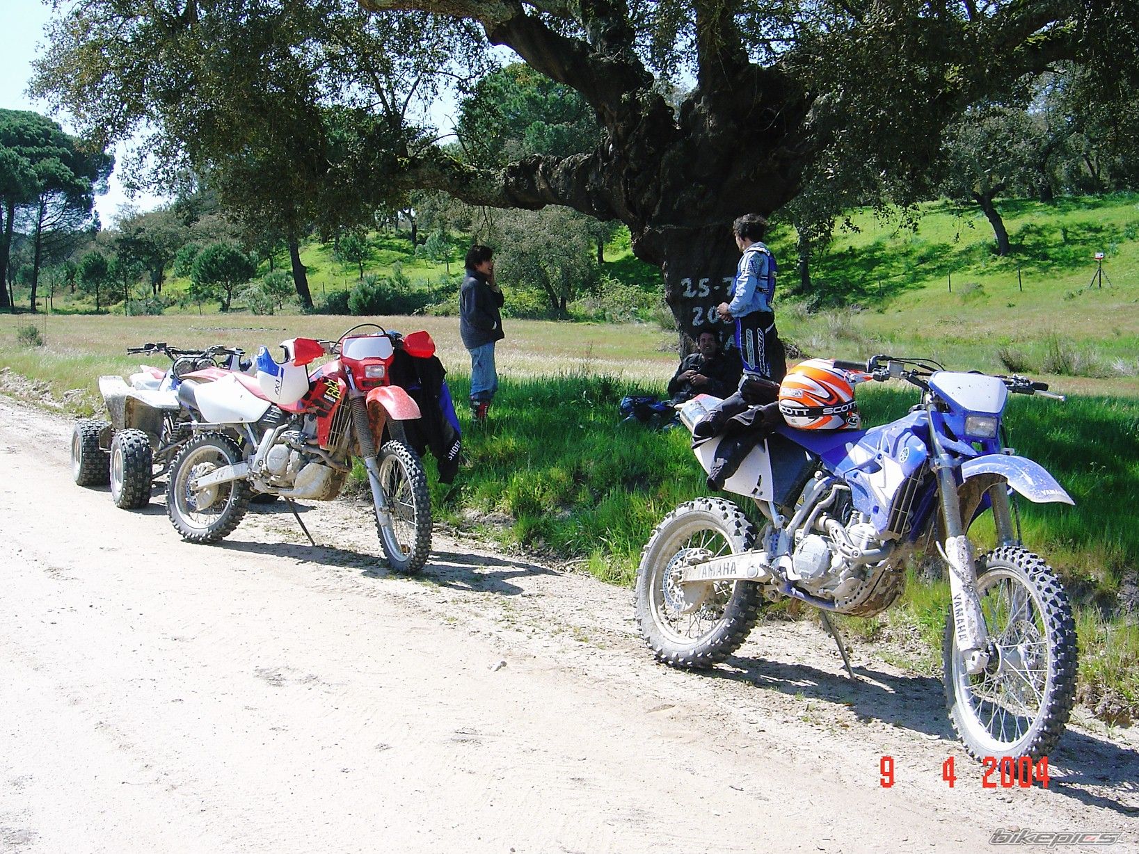 2004 YAMAHA WR 450F | Picture 1371523 motorcycle photo