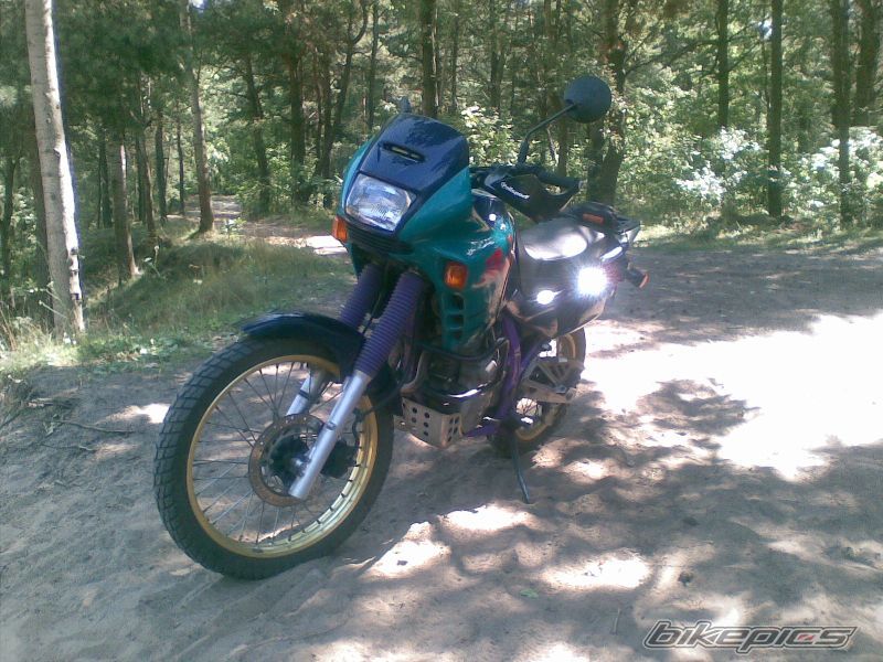 1993 HONDA NX 650 DOMINATOR | Picture 1371761 motorcycle photo