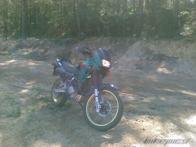 1993 HONDA NX 650 DOMINATOR | Picture 1371763 motorcycle photo