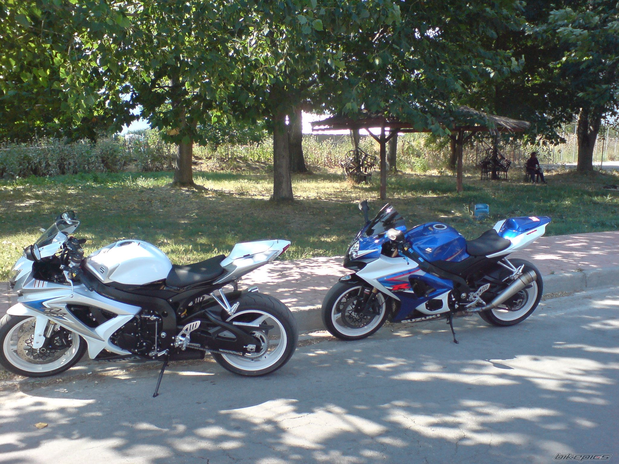 2008 SUZUKI GSX R 600 | Picture 1372155 motorcycle photo