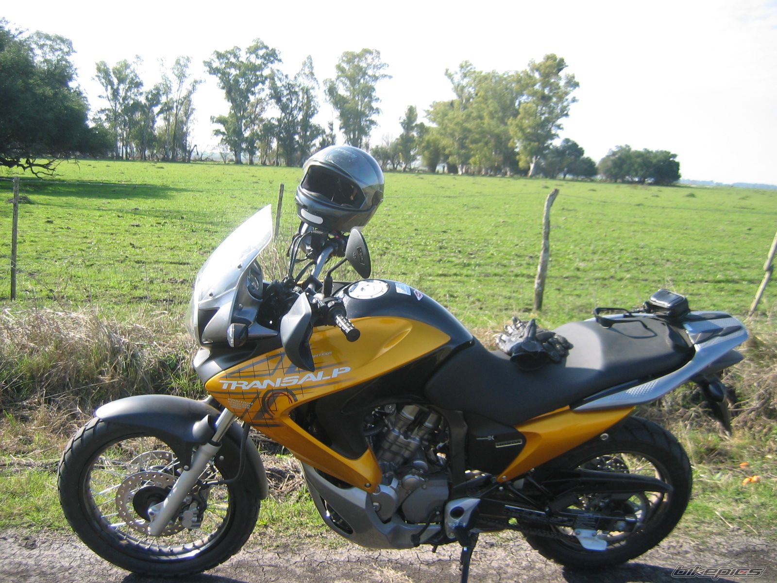 2008 HONDA XL 650V TRANSALP | Picture 1372377 motorcycle photo