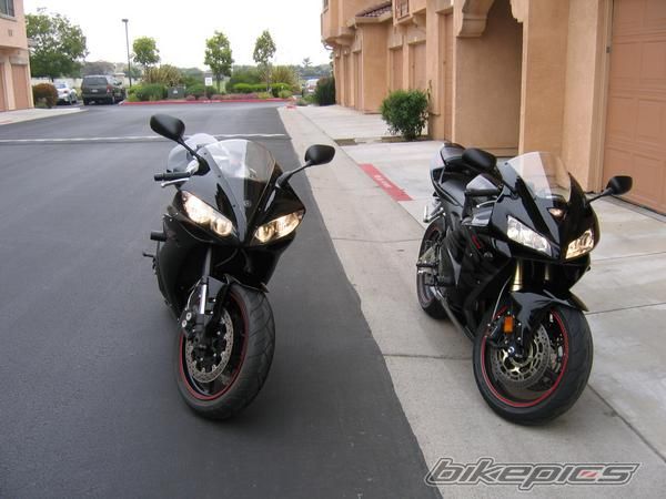 2005 HONDA CBR 600 RR | Picture 1372389 motorcycle photo