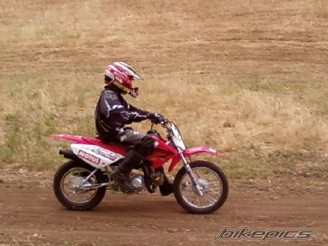 2005 HONDA CRF 70 | Picture 1374457 motorcycle photo