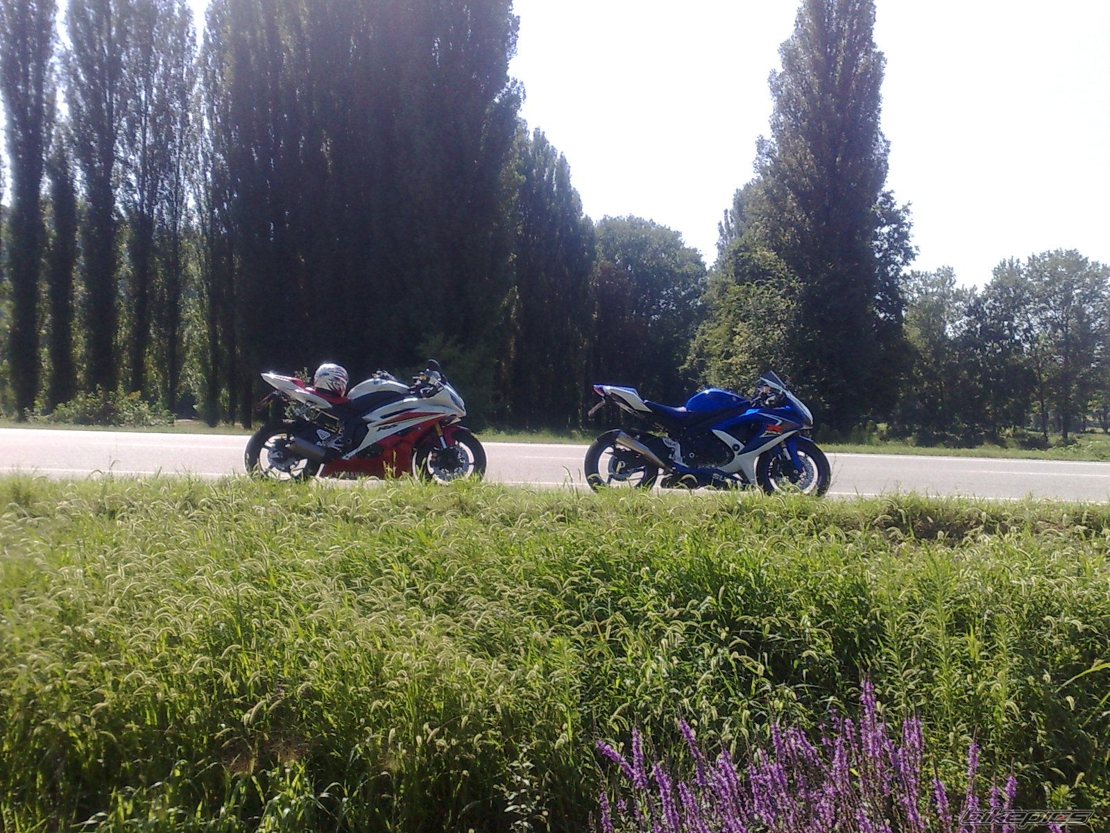 2008 SUZUKI GSX R 600 | Picture 1374469 motorcycle photo