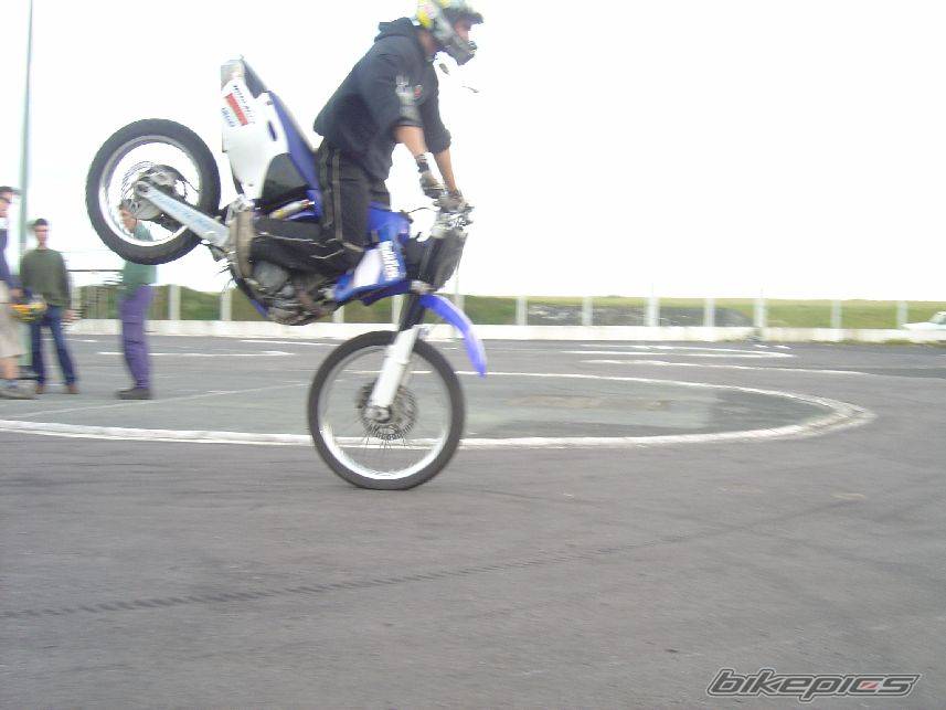 2003 YAMAHA WR 426F | Picture 137486 motorcycle photo
