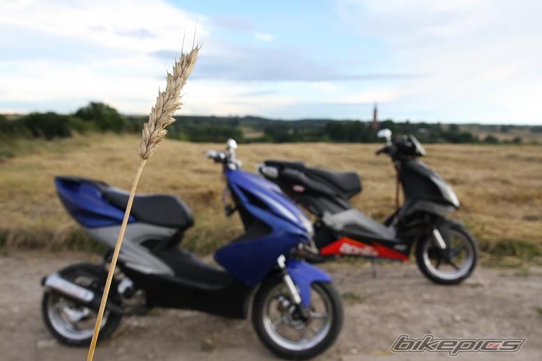 2000 YAMAHA AEROX 50 | Picture 1375364 motorcycle photo