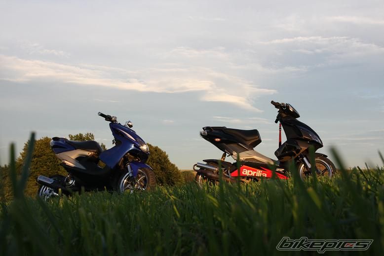 2000 YAMAHA AEROX 50 | Picture 1375386 motorcycle photo