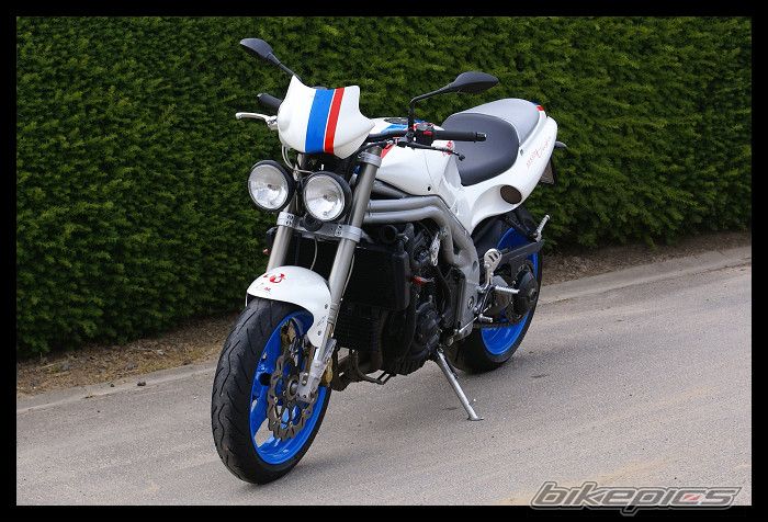1998 TRIUMPH SPEED TRIPLE | Picture 1375437 motorcycle photo
