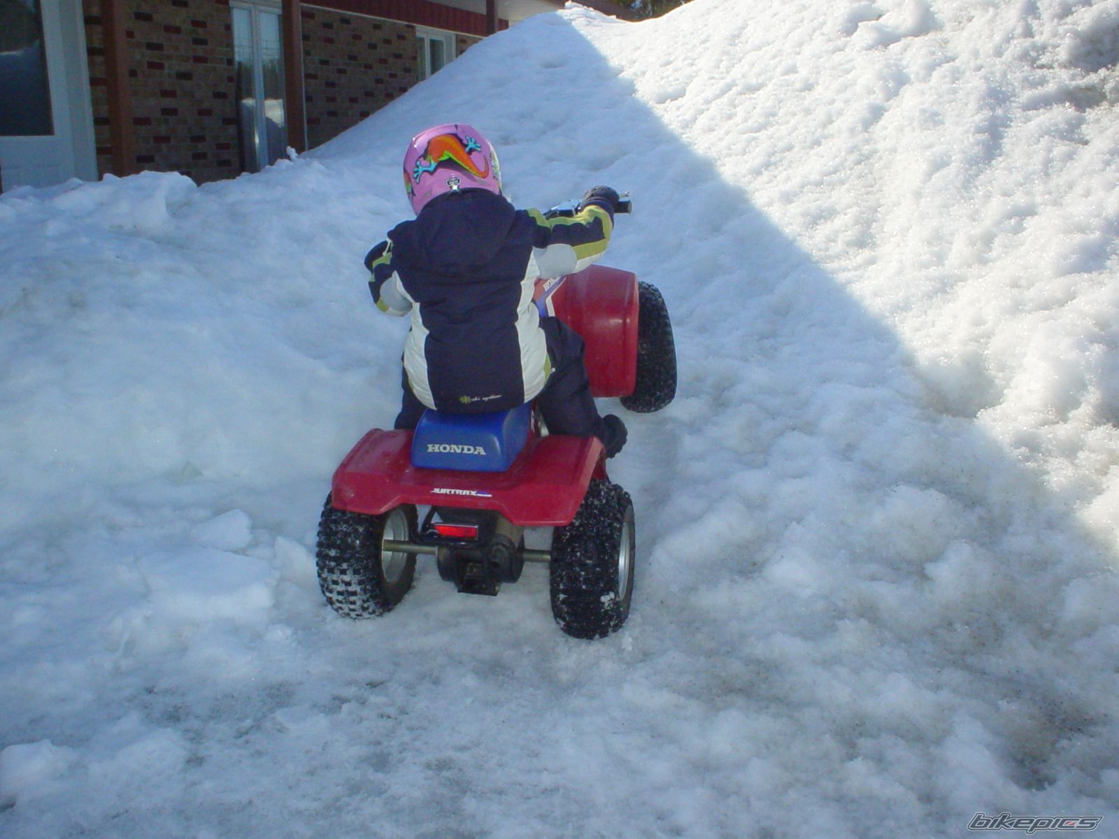 1986 HONDA FOURTRAX 70 | Picture 1375486 motorcycle photo