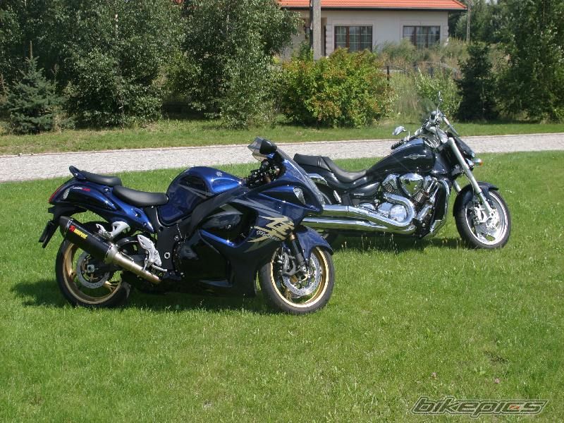 2008 SUZUKI HAYABUSA | Picture 1376129 motorcycle photo