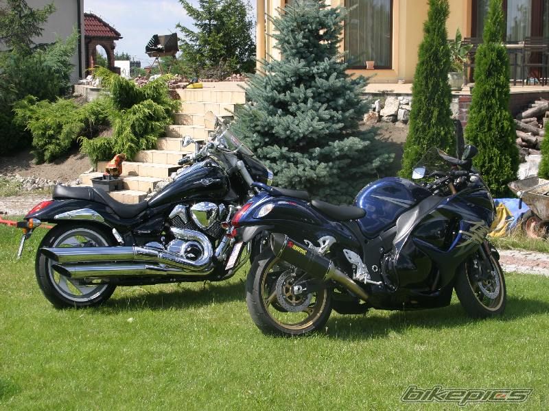 2008 SUZUKI HAYABUSA | Picture 1376130 motorcycle photo