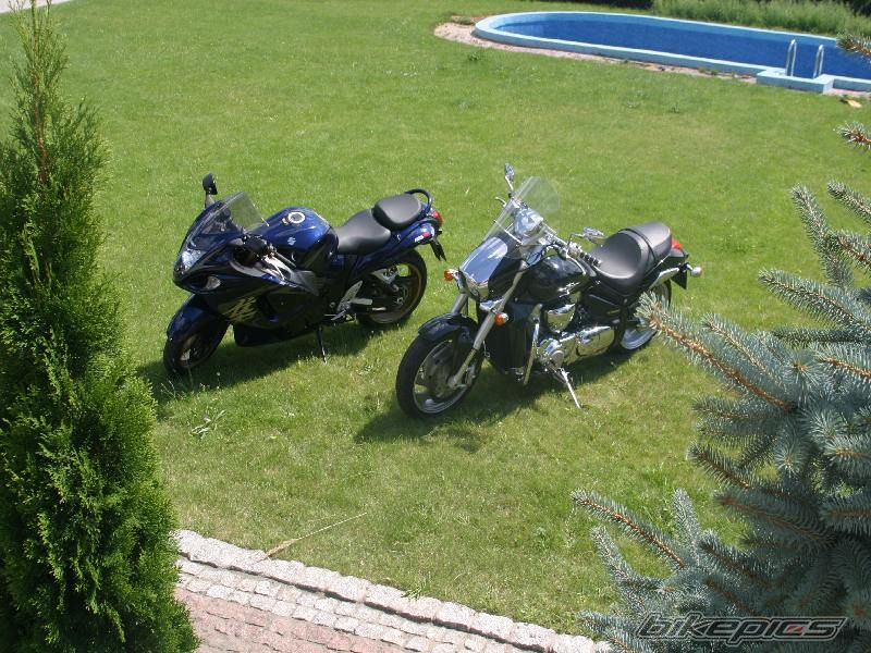 2008 SUZUKI HAYABUSA | Picture 1376131 motorcycle photo