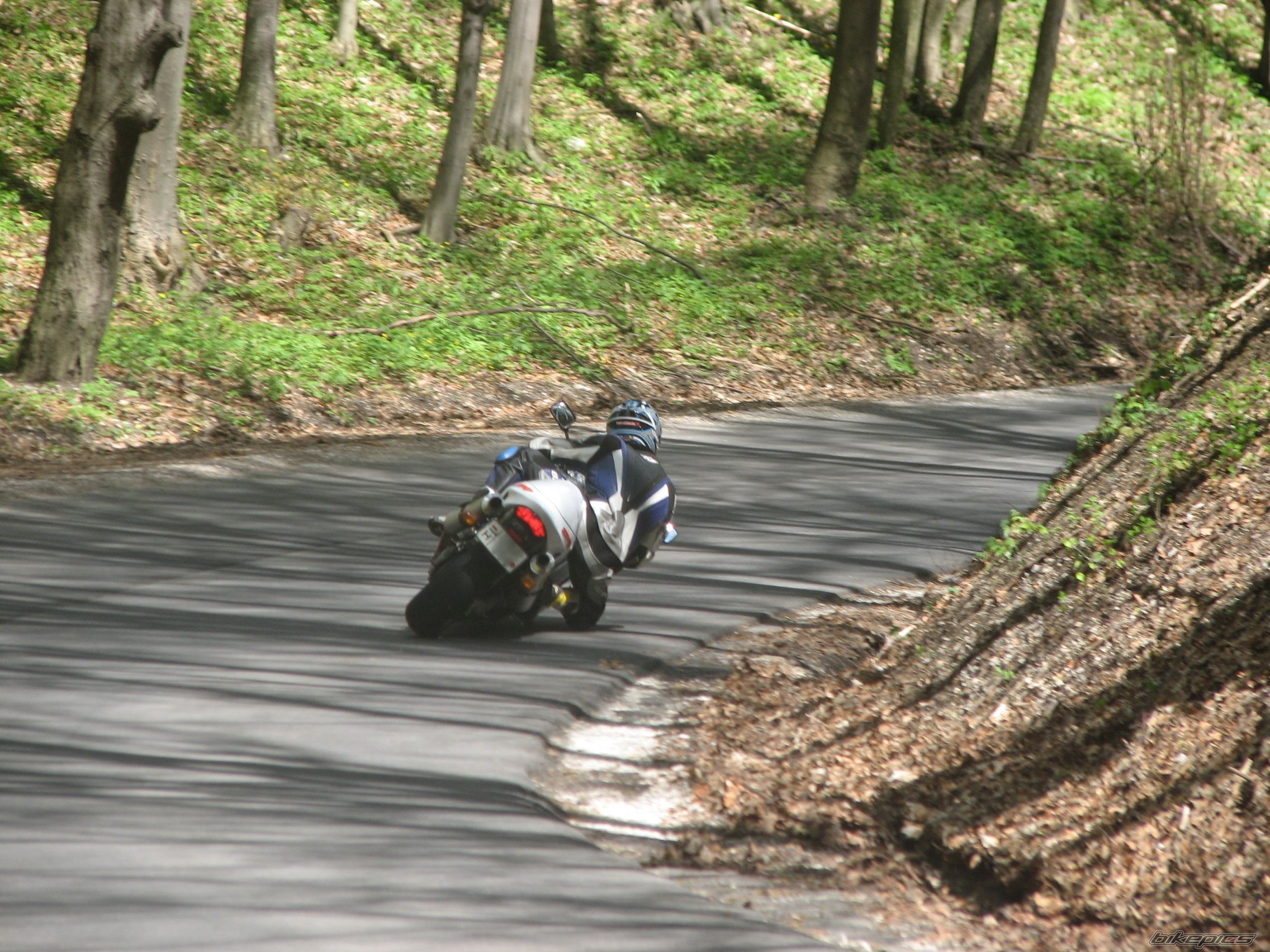 1999 SUZUKI TL1000R | Picture 1376427 motorcycle photo