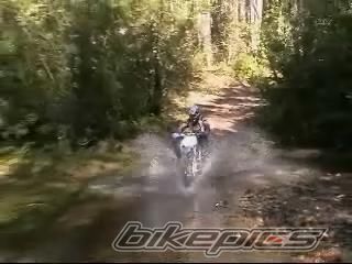 1999 YAMAHA YZ 250 | Picture 1376938 motorcycle photo
