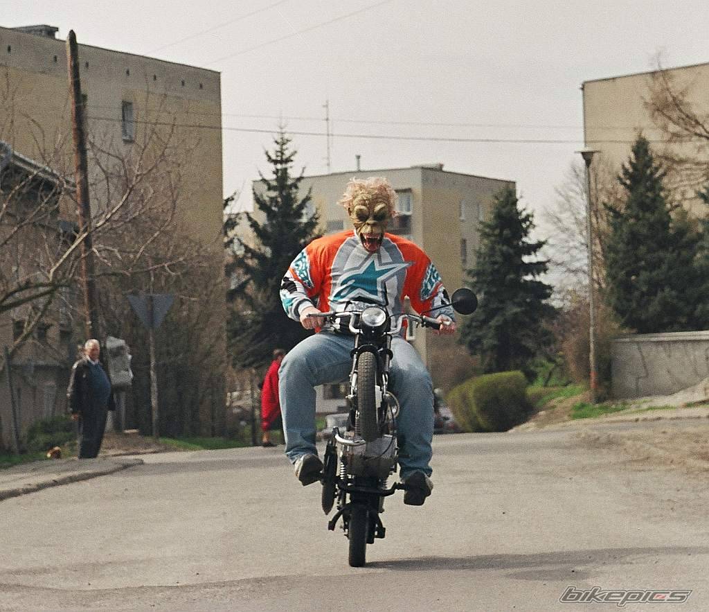 1989 ROMET PONY  M301 | Picture 137747 motorcycle photo