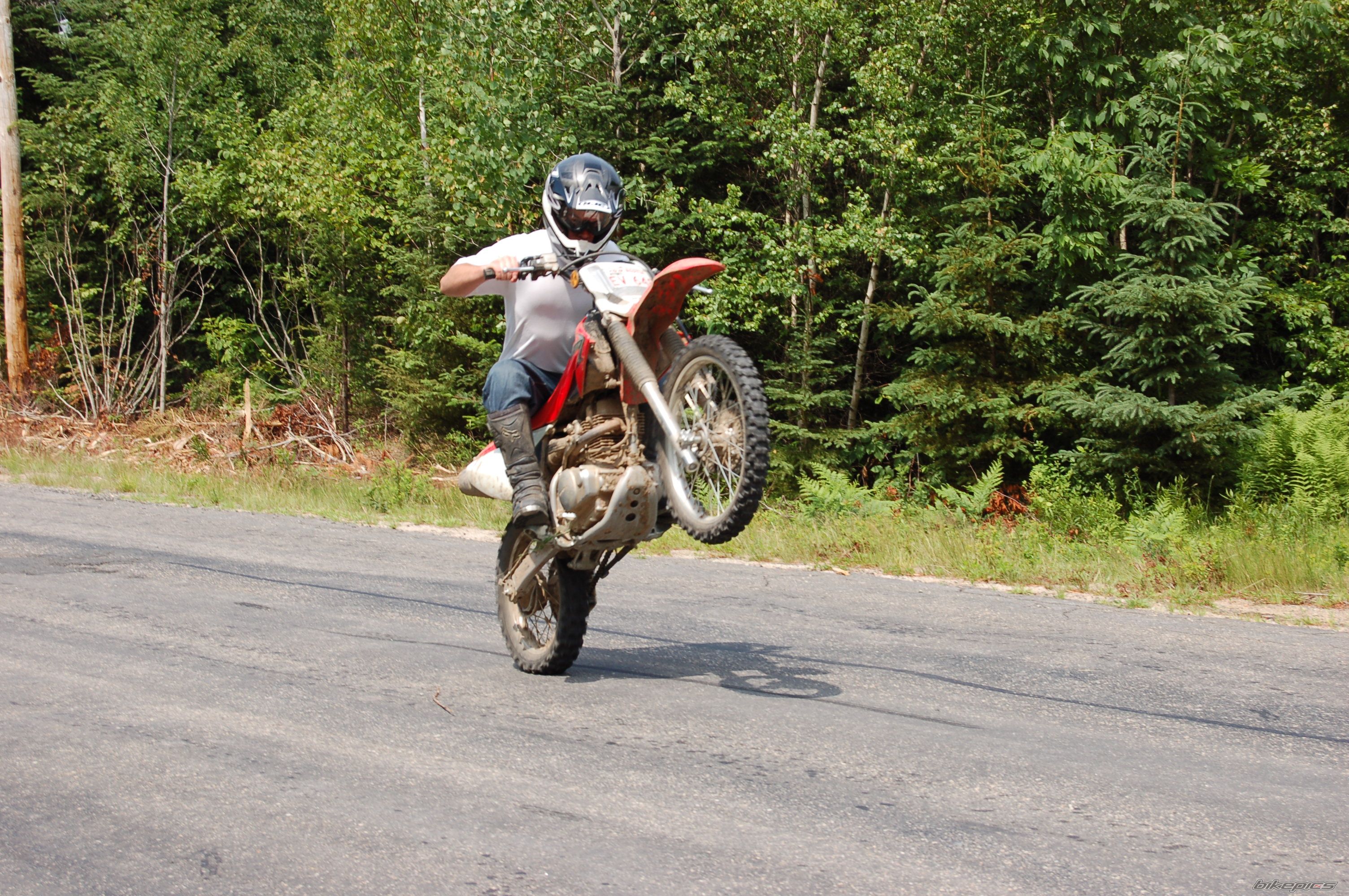 2008 HONDA CRF 150 | Picture 1377482 motorcycle photo