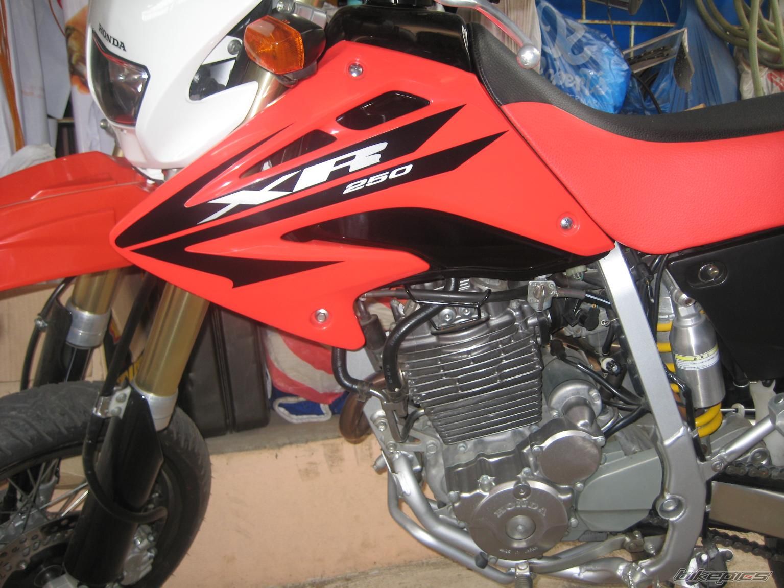 2008 HONDA XR 250 | Picture 1377851 motorcycle photo