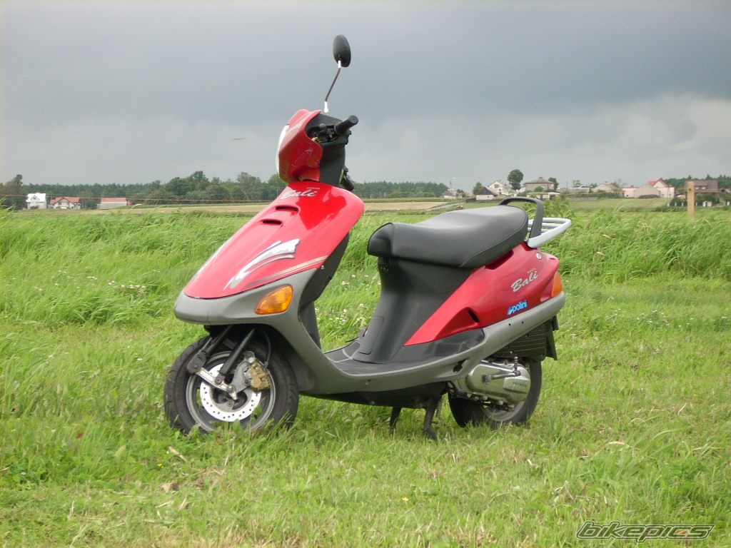1996 HONDA BALI 50 | Picture 1378000 motorcycle photo