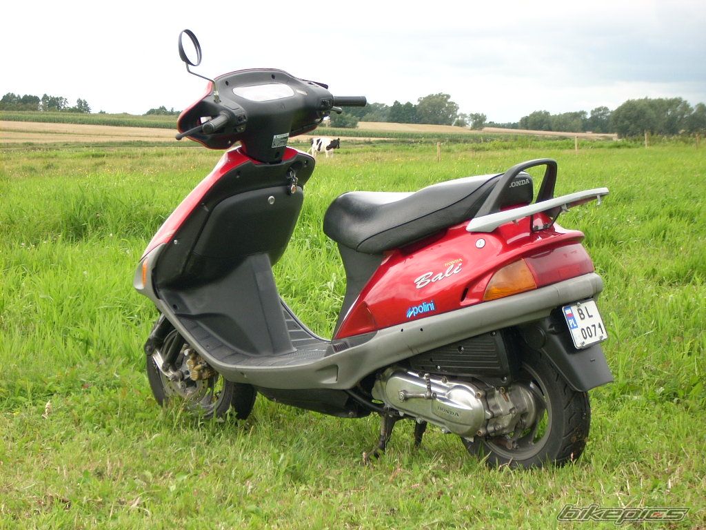 1996 HONDA BALI 50 | Picture 1378015 motorcycle photo
