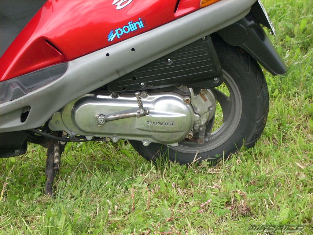 1996 HONDA BALI 50 | Picture 1378016 motorcycle photo