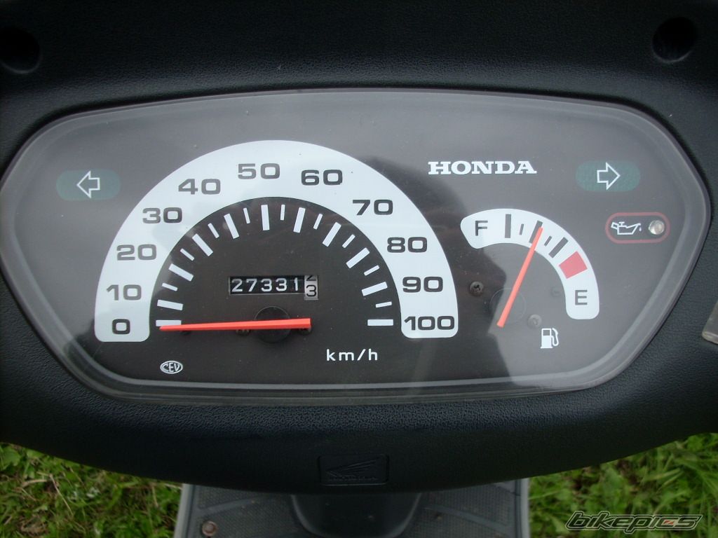 1996 HONDA BALI 50 | Picture 1378017 motorcycle photo