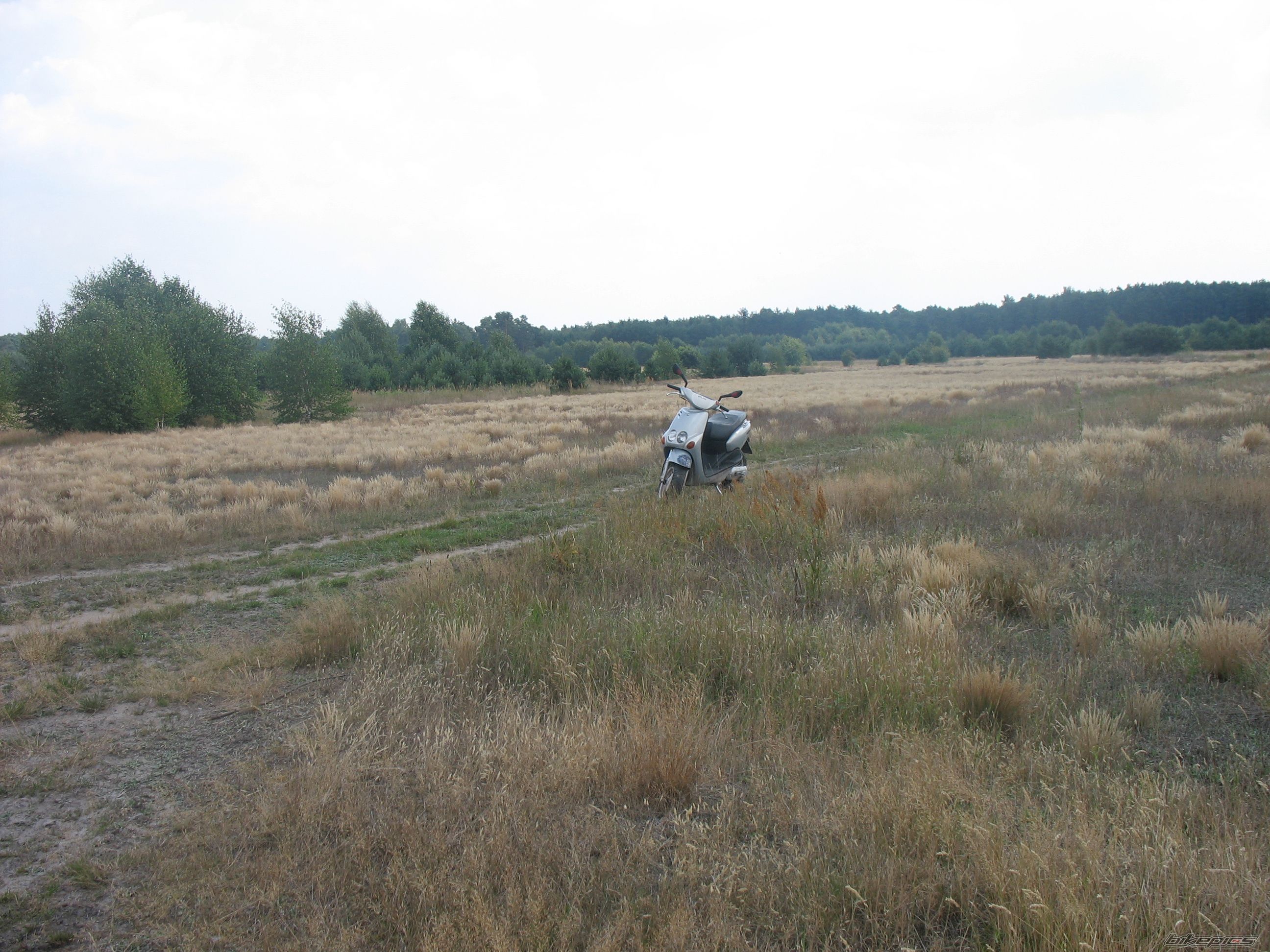2001 YAMAHA NEOS | Picture 1378664 motorcycle photo