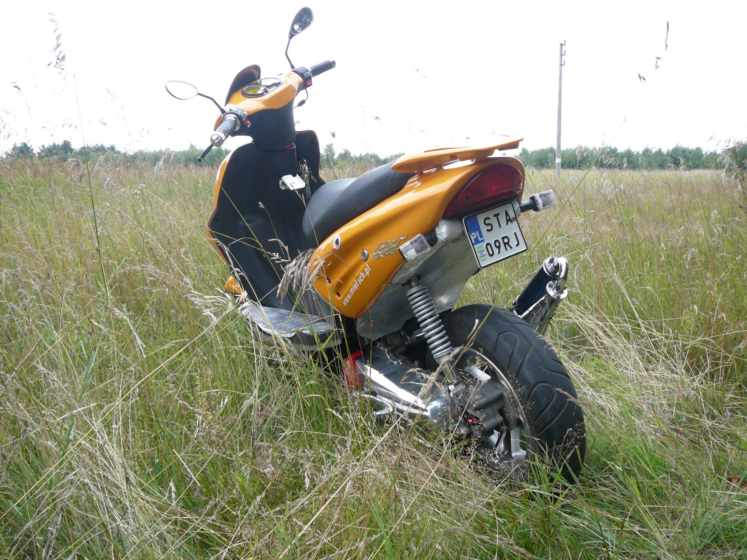 2006 KEEWAY FOCUS 50 | Picture 1378794 motorcycle photo