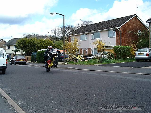 2001 APRILIA RS 125 | Picture 137892 motorcycle photo