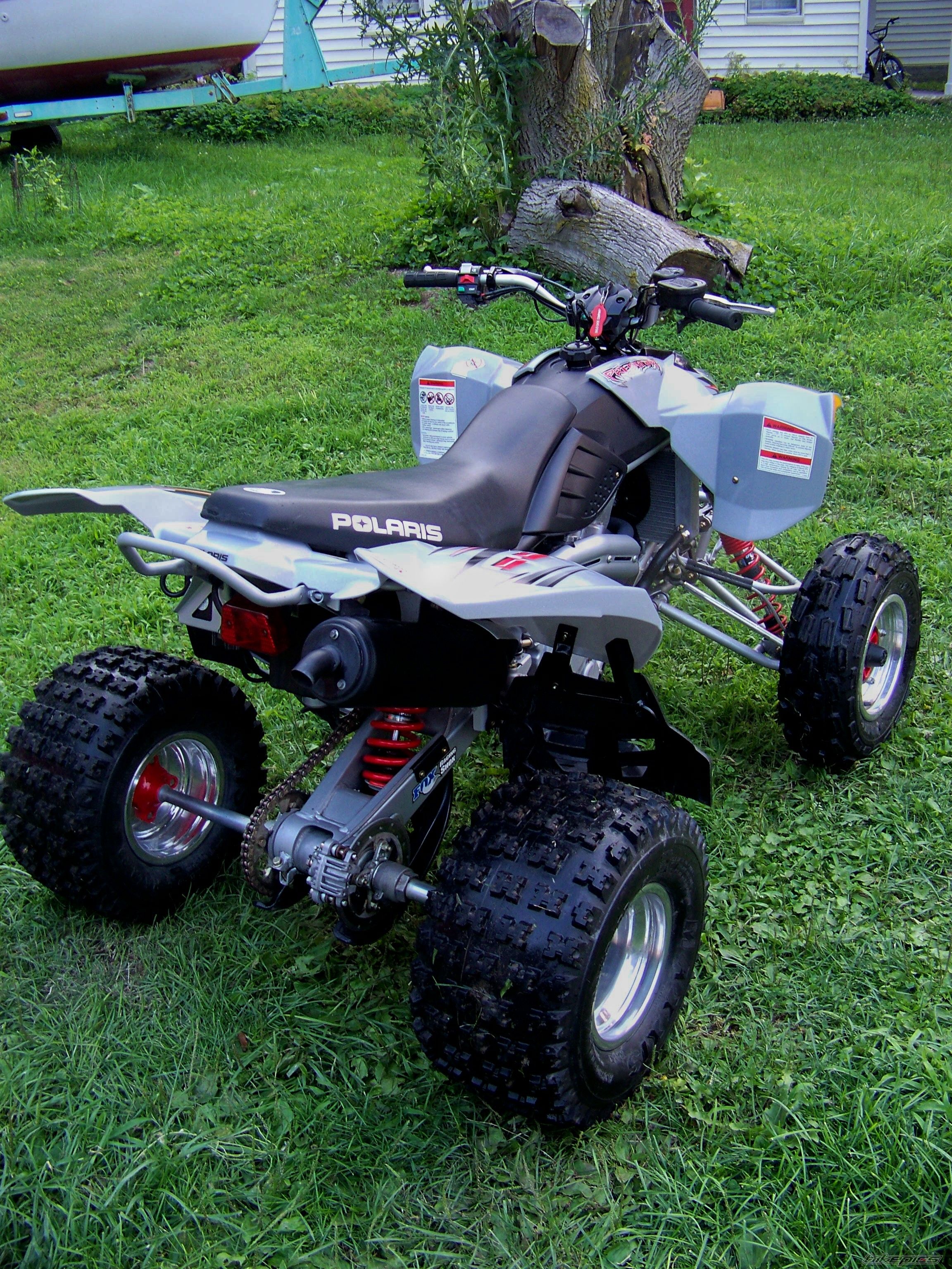2004 POLARIS PREDATOR 500 | Picture 1378980 motorcycle photo