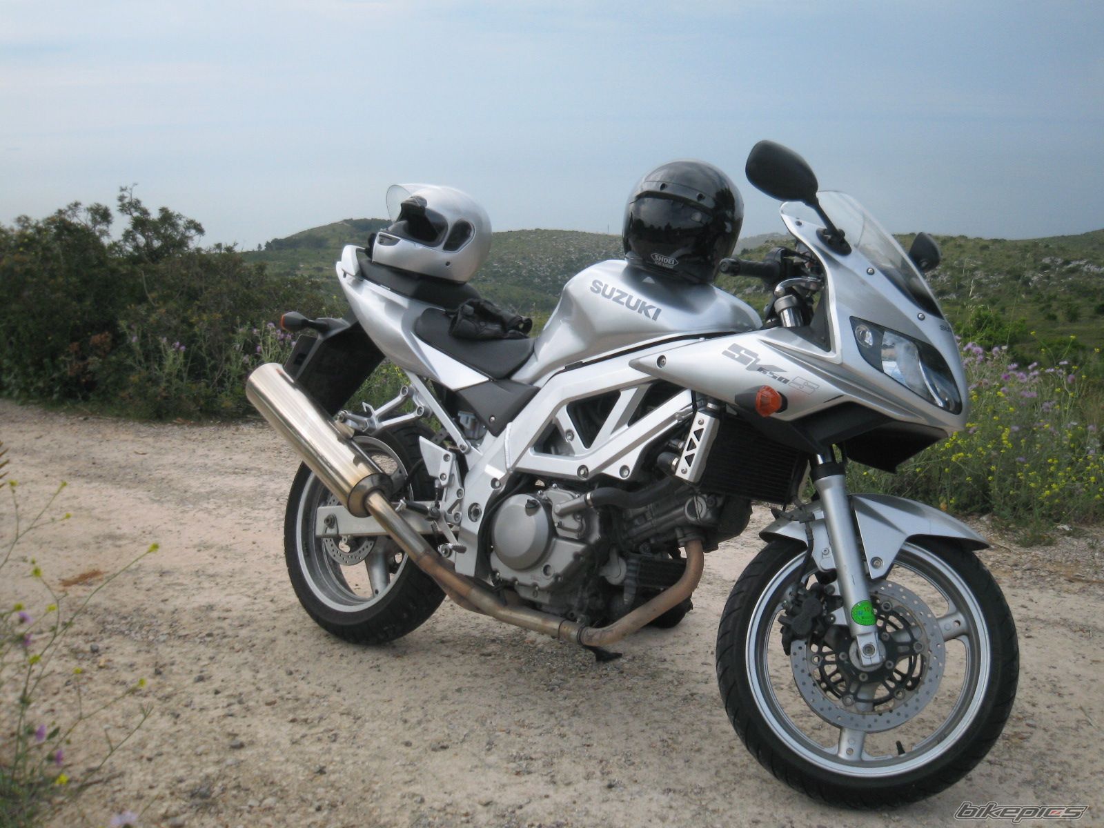 2003 SUZUKI SV 650S | Picture 1379107 motorcycle photo