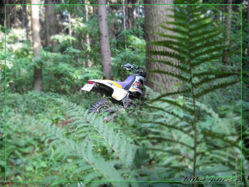 1995 KTM 400 LC4 | Picture 1379502 motorcycle photo