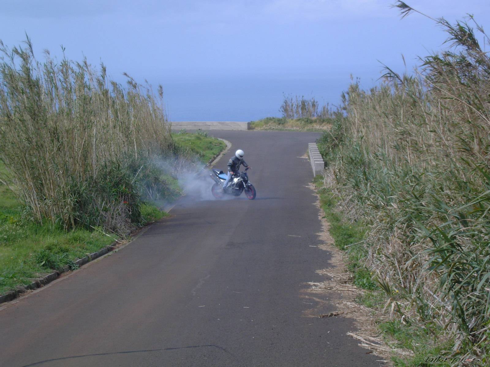 2004 YAMAHA FZR 1000 | Picture 137953 motorcycle photo